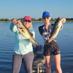 Largemouth Bass fishing in Kissimmee, Florida