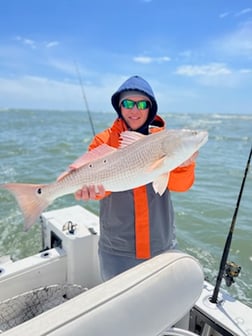 Redfish Fishing in Wanchese, North Carolina