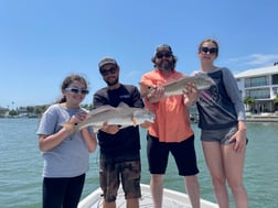 Redfish fishing in Clearwater, Florida