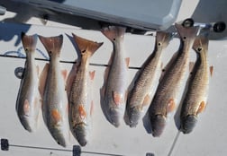 Redfish Fishing in Port Aransas, Texas