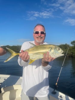 Snook Fishing in Tampa, Florida