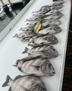 Fishing in Gulf Shores, Alabama