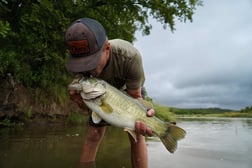 Largemouth Bass fishing in Graford, Texas