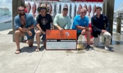 False Albacore, Kingfish, Red Snapper Fishing in Port Aransas, Texas