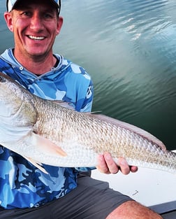 Redfish Fishing in Sarasota, Florida