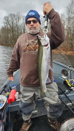 Steelhead Fishing in Verona Beach, New York