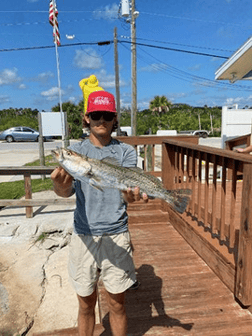 Snook Fishing in Oak Hill, Florida