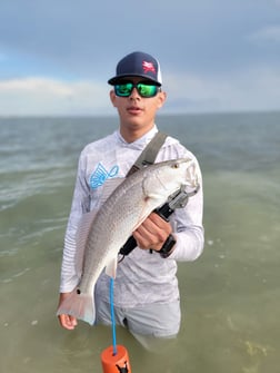 Redfish, Speckled Trout Fishing in South Padre Island, Texas