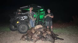 Hog Hunting in Fulshear, Texas