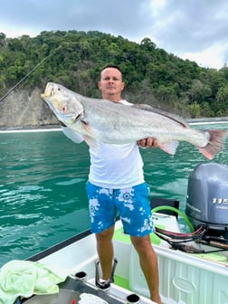 Speckled Trout / Spotted Seatrout fishing in Puerto Jiménez, Puntarenas Province