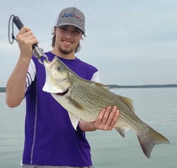 Hybrid Striped Bass Fishing in Runaway Bay, Texas