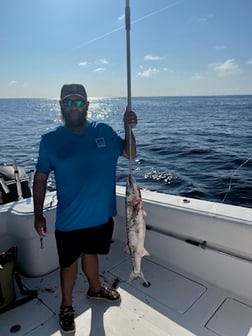 Fishing in Carolina Beach, North Carolina