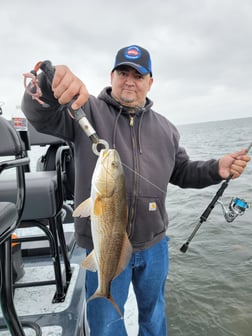 Redfish Fishing in South Padre Island, Texas