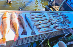 Fishing in Crystal River, Florida