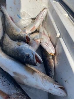 Fishing in Slidell, Louisiana