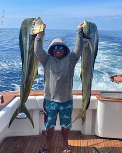 Mahi Mahi / Dorado fishing in Cabo San Lucas, Baja California Sur