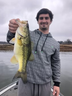 Largemouth Bass Fishing in Lake Fork, Texas