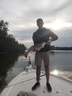 Stingray Fishing in New Smyrna Beach, Florida