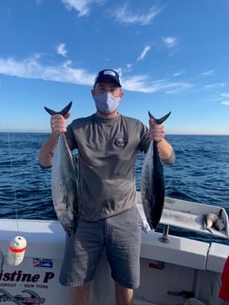 False Albacore Fishing in Freeport, New York, USA