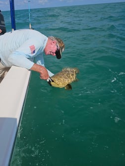 Tarpon Fishing in Port Orange, Florida