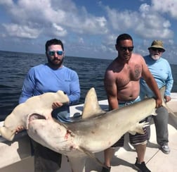 Fishing in Galveston, Texas