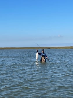 Speckled Trout Fishing in Galveston, Texas