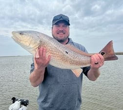 Redfish Fishing in Venice, Florida