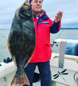 Halibut Fishing in Bodega Bay, California