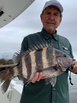 Sheepshead Fishing in Biloxi, Mississippi