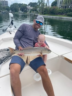 Speckled Trout / Spotted Seatrout fishing in Sarasota, Florida