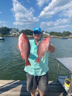 Red Snapper Fishing in Pensacola, Florida