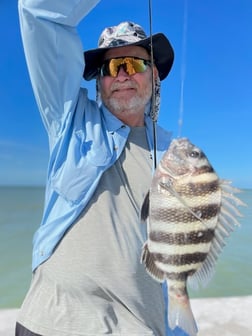 Fishing in Sarasota, Florida