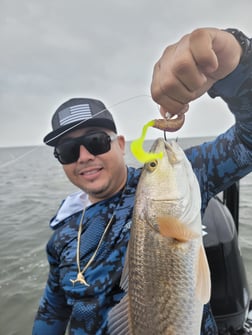 Redfish Fishing in Rio Hondo, Texas