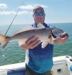 Cubera Snapper Fishing in Clearwater, Florida