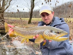 Brown Trout Fishing in Johnson City, Tennessee