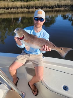 Redfish Fishing in Mount Pleasant, South Carolina