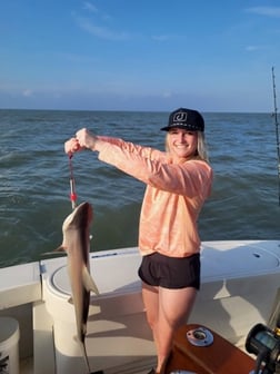 Fishing in Galveston, Texas