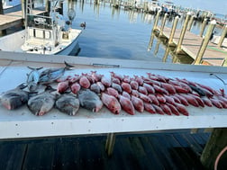 Fishing in Gulf Shores, Alabama