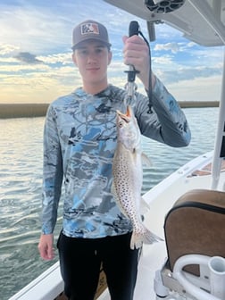 Speckled Trout / Spotted Seatrout Fishing in Little River, South Carolina