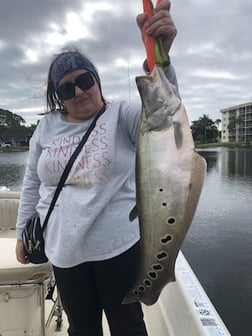 Fishing in Delray Beach, Florida