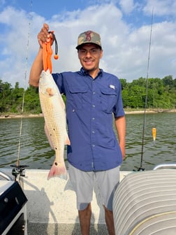 Redfish Fishing in Galveston, Texas