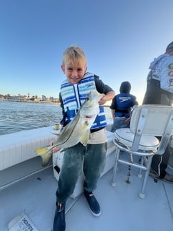 Fishing in Naples, Florida