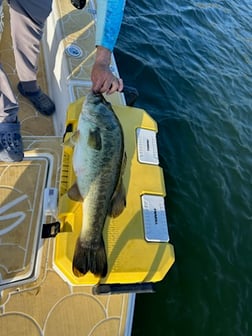 Fishing in Miami, Florida