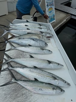 Fishing in Key West, Florida