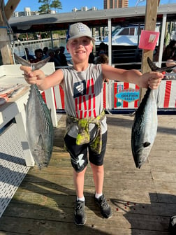 False Albacore, Red Snapper, Spanish Mackerel Fishing in Orange Beach, Alabama