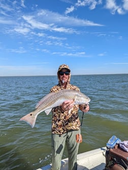 Sheepshead Fishing in Freeport, Texas