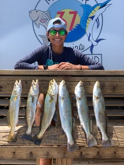 Speckled Trout / Spotted Seatrout fishing in Corpus Christi, Texas