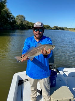 Redfish Fishing in Palacios, Texas