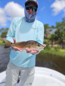 Fishing in Cedar Key, Florida