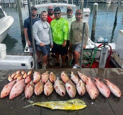 Red Grouper, Red Snapper Fishing in Clearwater, Florida